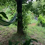 The Nest ~ Your Rest Север-ду-Вога