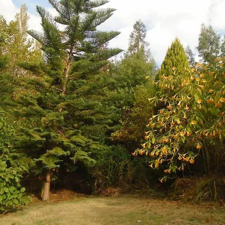 The Nest ~ Your Rest *