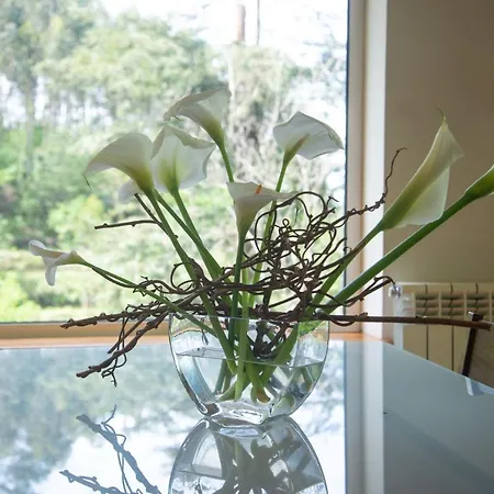 The Nest ~ Your Rest Villa *