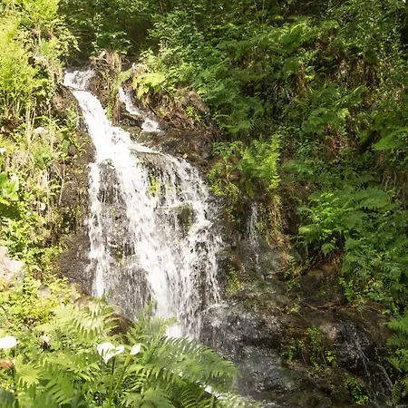 The Nest ~ Your Rest 빌라 *