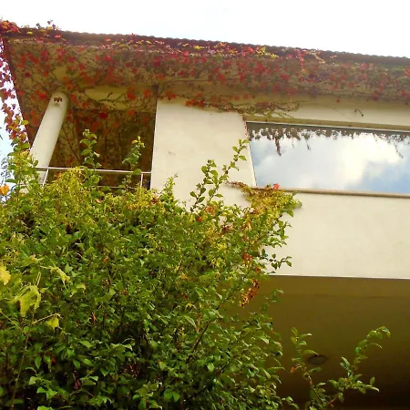The Nest ~ Your Rest Sever do Vouga