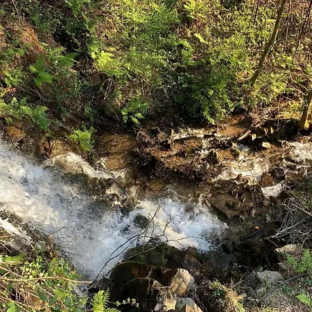 The Nest ~ Your Rest 빌라 세베르도부가