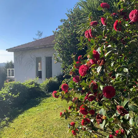 The Nest ~ Your Rest 세베르도부가