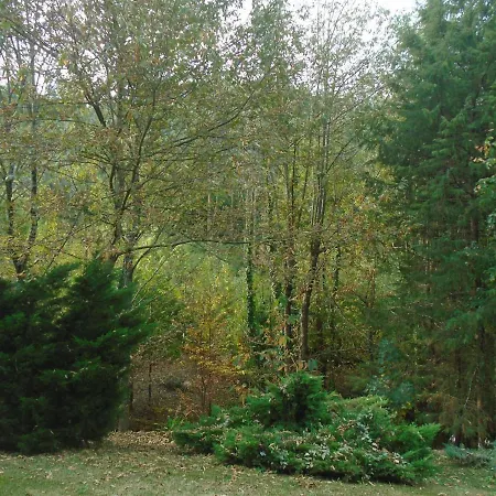 The Nest ~ Your Rest