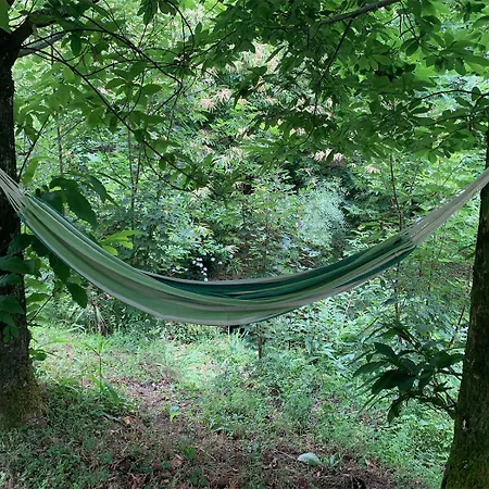 Willa The Nest ~ Your Rest Sever do Vouga