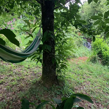 The Nest ~ Your Rest Sever do Vouga