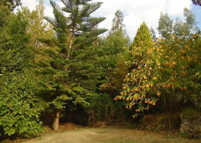 The Nest ~ Your Rest *