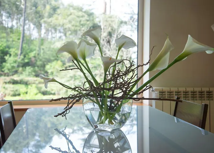 The Nest ~ Your Rest Villa *