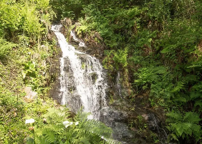 The Nest ~ Your Rest Villa *