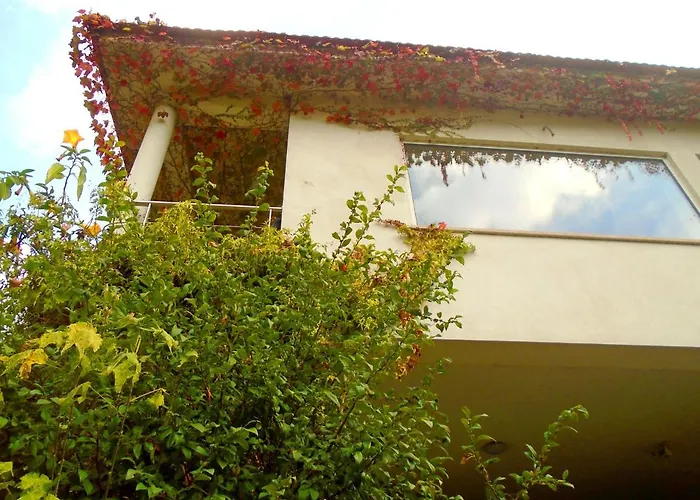 The Nest ~ Your Rest Sever do Vouga