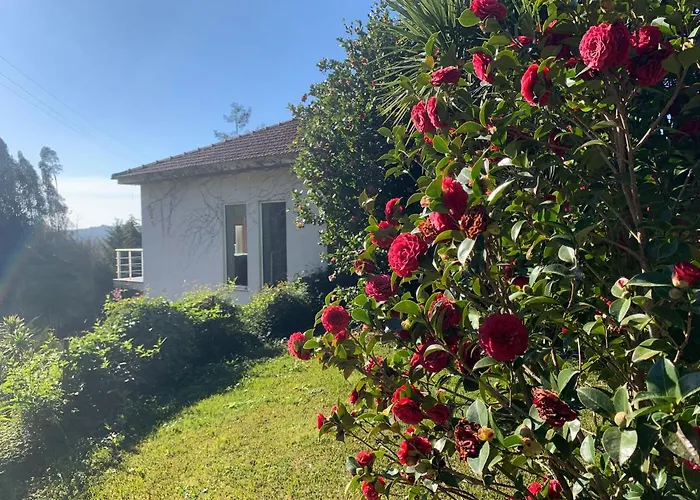 The Nest ~ Your Rest Sever do Vouga