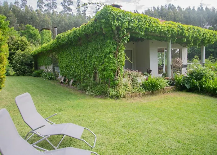 The Nest ~ Your Rest *