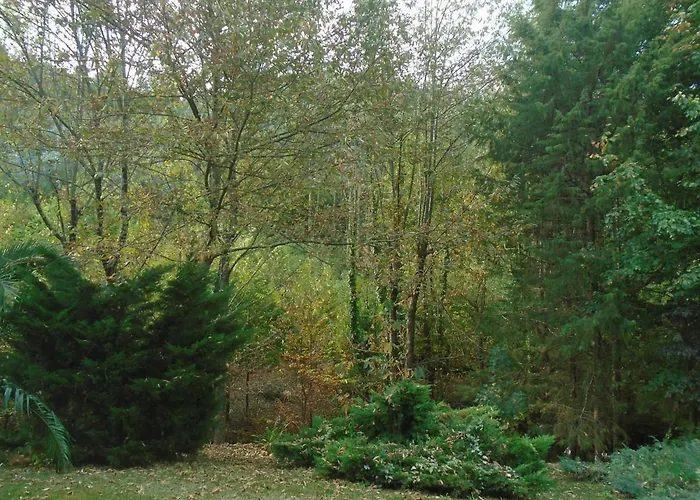 The Nest ~ Your Rest