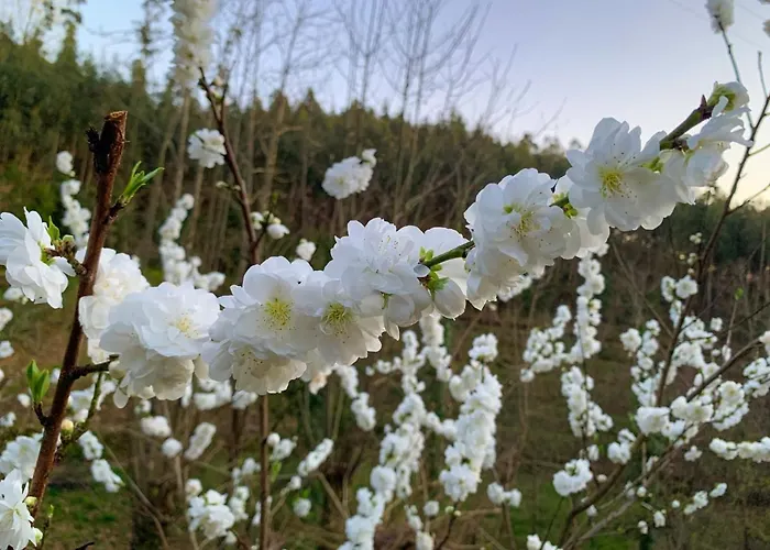 The Nest ~ Your Rest * Sever do Vouga