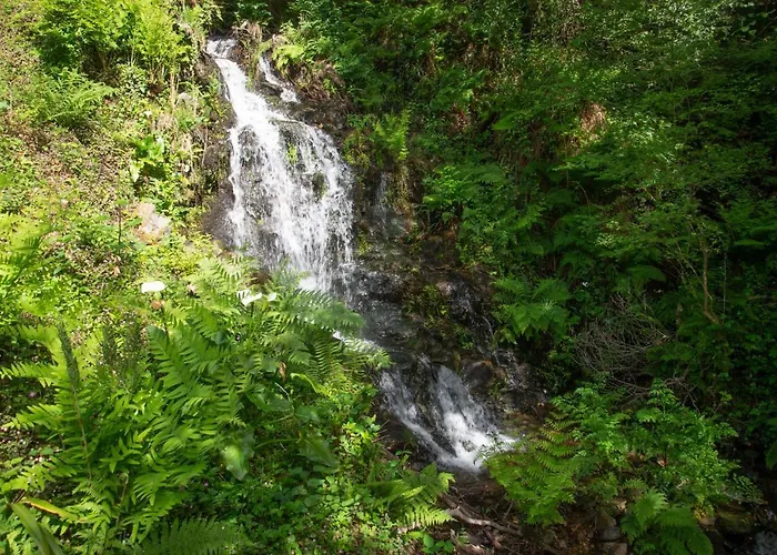 The Nest ~ Your Rest * Sever do Vouga