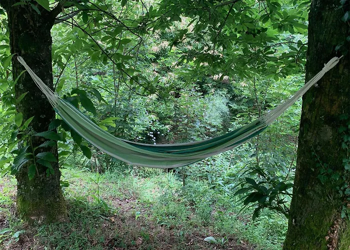 Villa The Nest ~ Your Rest Sever do Vouga