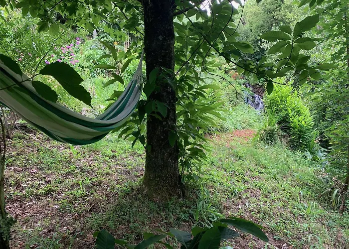 The Nest ~ Your Rest Sever do Vouga